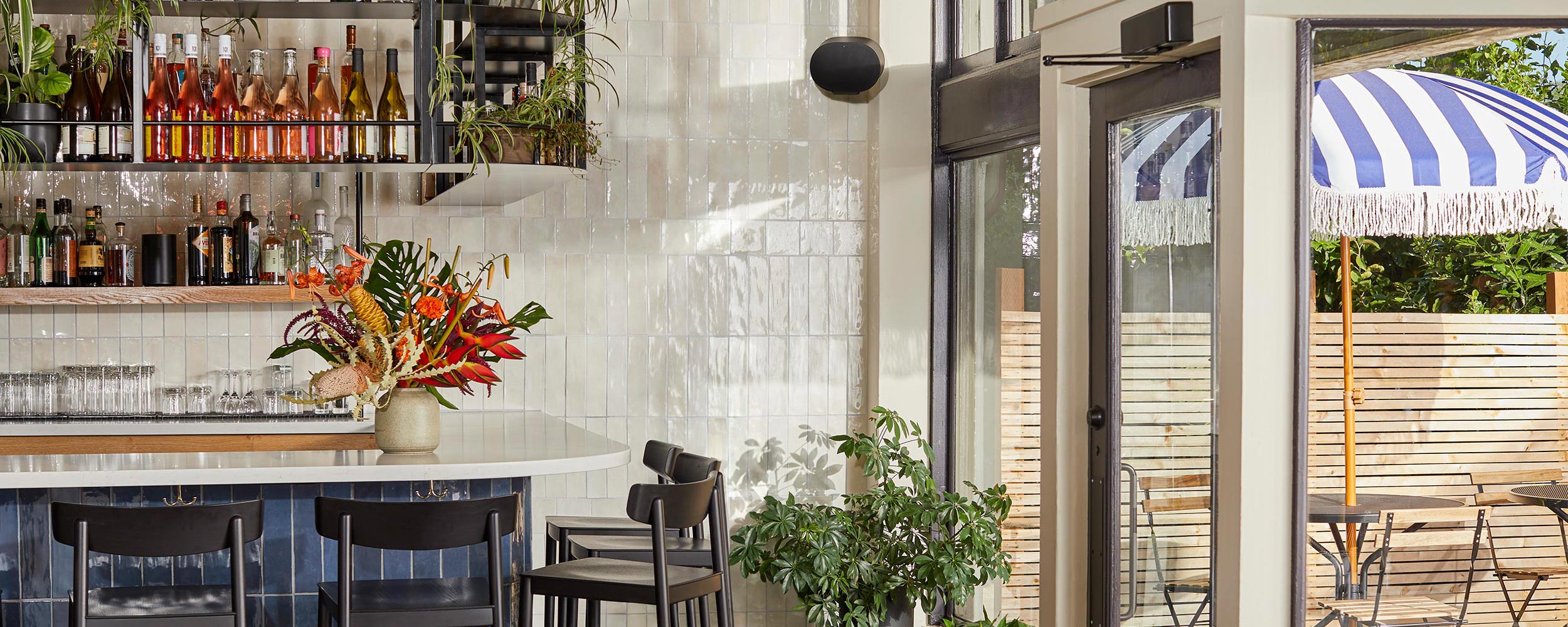 A cozy bar with modern decor, colorful bottles, and lush green plants.